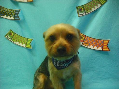 ファイル 3696-1.jpg