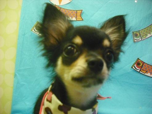 ファイル 3698-1.jpg