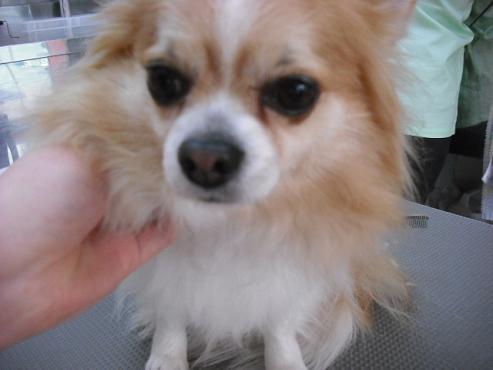 ファイル 37-1.jpg