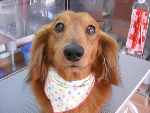 ファイル 370-1.jpg