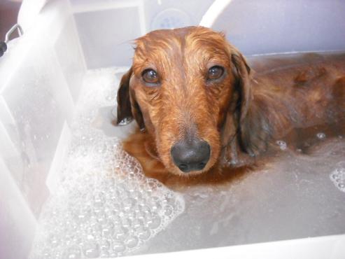 ファイル 370-2.jpg