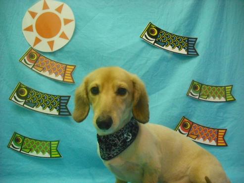 ファイル 3701-1.jpg