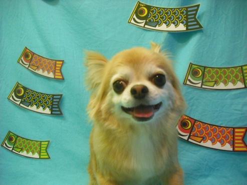 ファイル 3704-1.jpg