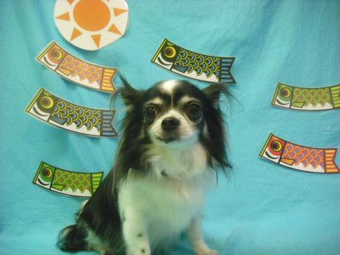 ファイル 3708-1.jpg