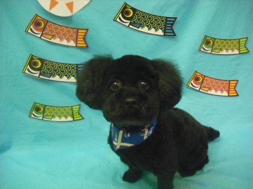 ファイル 3709-1.jpg