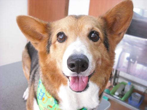 ファイル 371-1.jpg