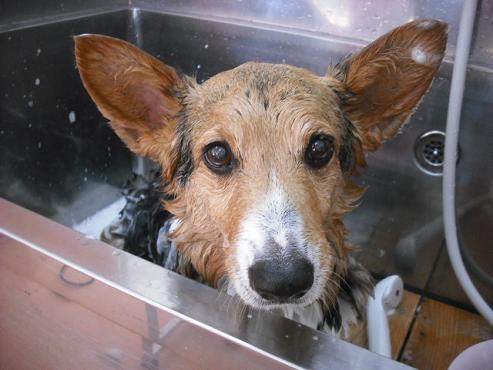 ファイル 371-2.jpg