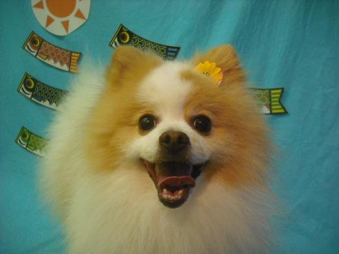 ファイル 3710-1.jpg