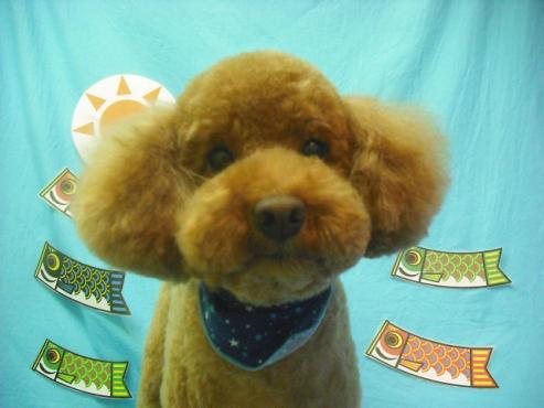 ファイル 3712-1.jpg