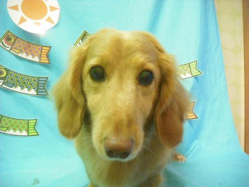 ファイル 3713-1.jpg