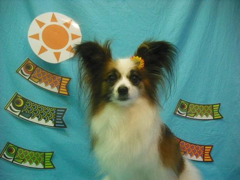 ファイル 3714-1.jpg