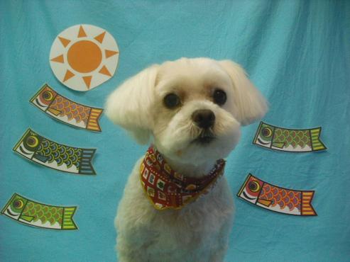 ファイル 3718-1.jpg