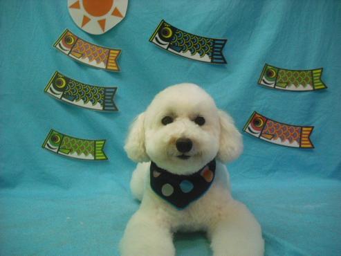 ファイル 3721-1.jpg