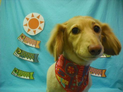 ファイル 3722-1.jpg