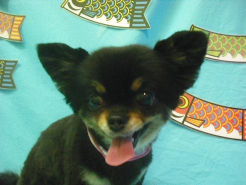 ファイル 3723-1.jpg