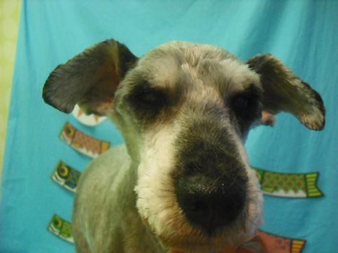 ファイル 3724-1.jpg