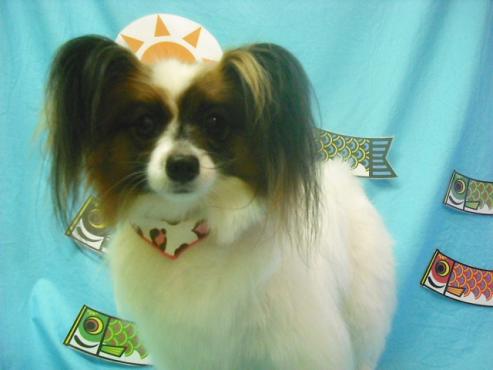 ファイル 3728-1.jpg