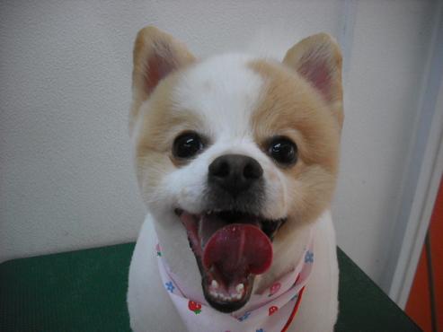 ファイル 373-1.jpg