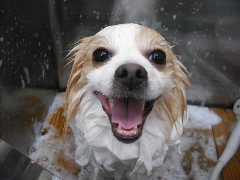 ファイル 373-2.jpg