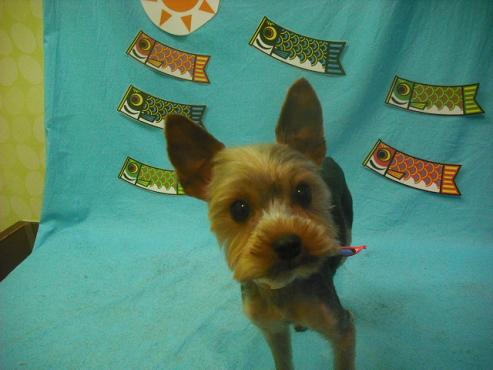 ファイル 3734-1.jpg