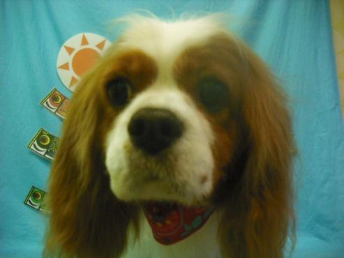 ファイル 3735-1.jpg