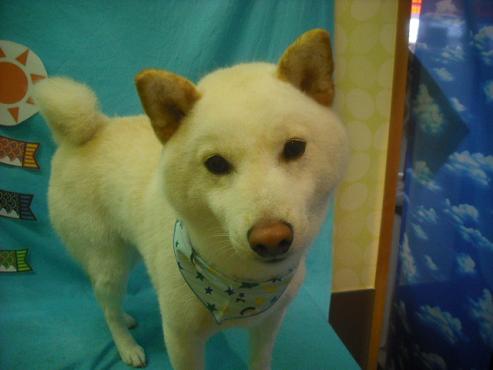 ファイル 3736-1.jpg