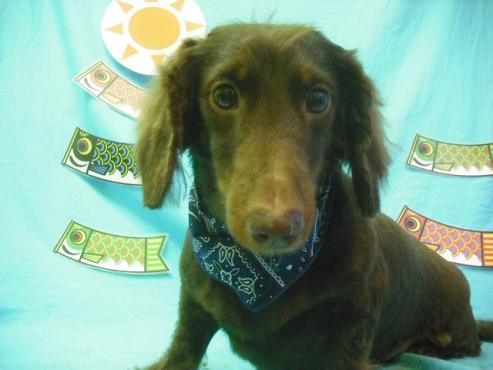 ファイル 3738-1.jpg