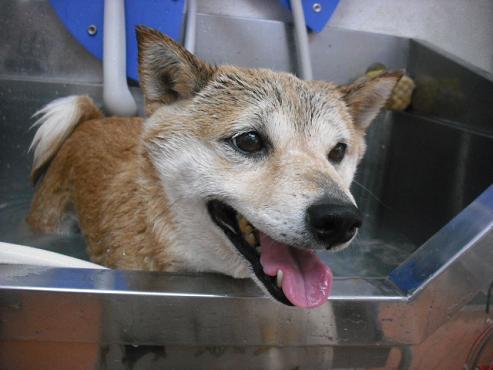 ファイル 374-2.jpg