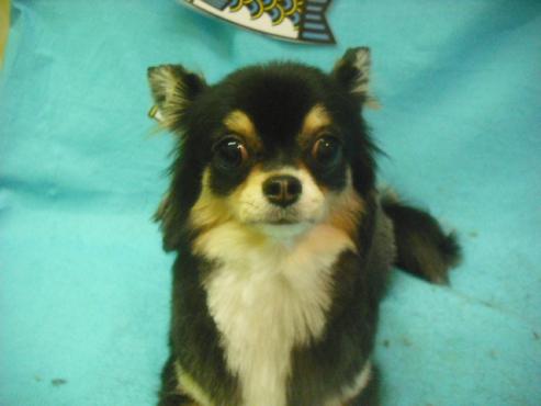 ファイル 3740-1.jpg