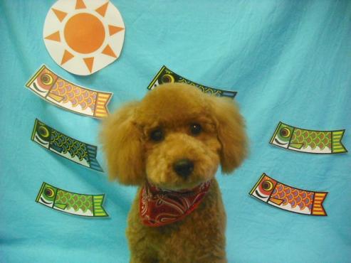 ファイル 3741-1.jpg