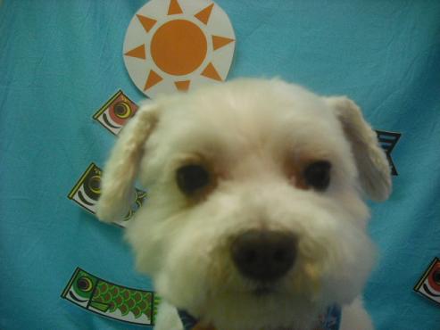 ファイル 3743-1.jpg