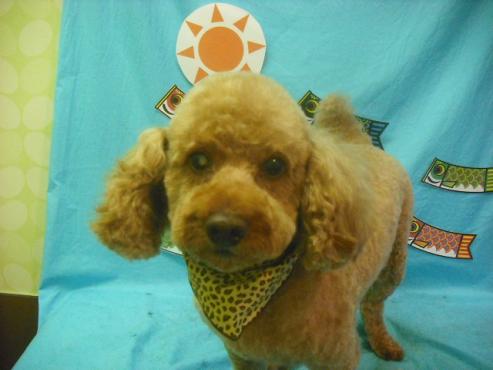 ファイル 3745-1.jpg