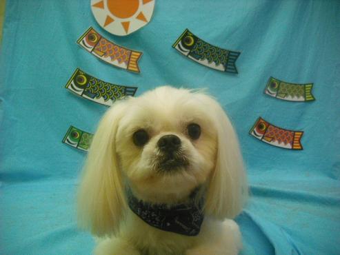 ファイル 3746-1.jpg