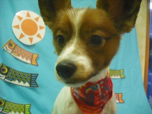 ファイル 3747-1.jpg