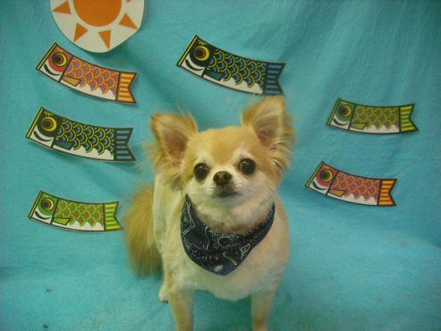 ファイル 3748-1.jpg