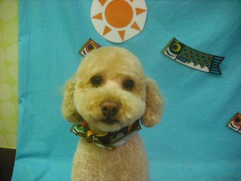 ファイル 3749-1.jpg