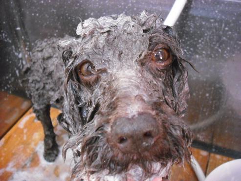 ファイル 375-1.jpg