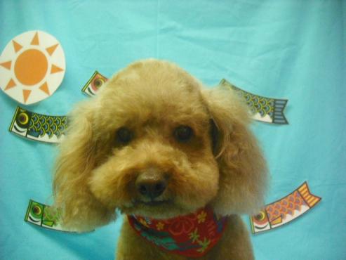 ファイル 3751-1.jpg