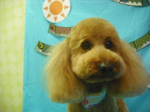 ファイル 3753-1.jpg