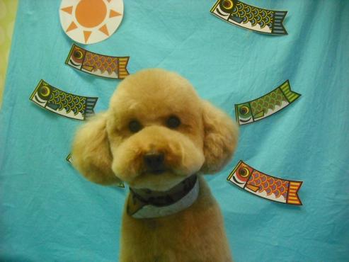 ファイル 3754-1.jpg