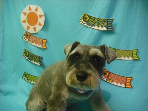 ファイル 3756-1.jpg