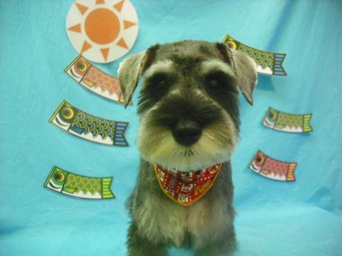 ファイル 3757-1.jpg