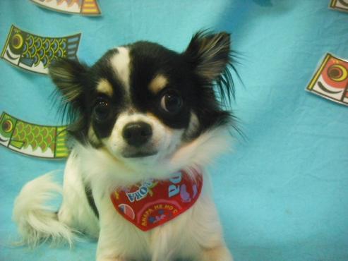 ファイル 3758-1.jpg