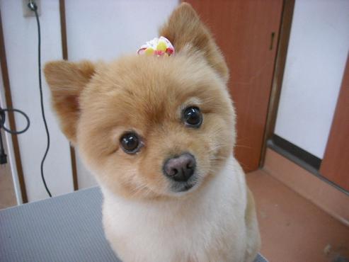 ファイル 376-1.jpg