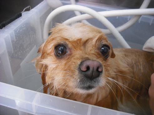 ファイル 376-2.jpg