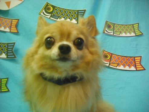 ファイル 3760-1.jpg