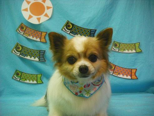 ファイル 3762-1.jpg