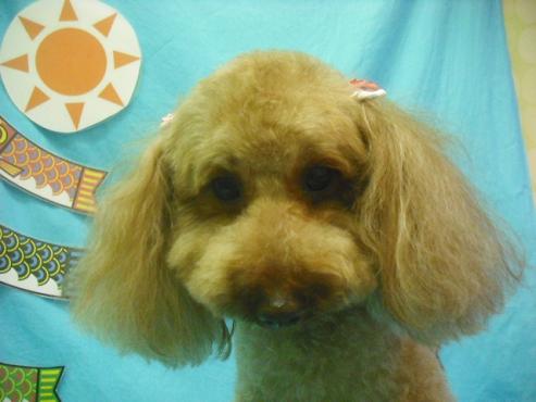 ファイル 3763-1.jpg