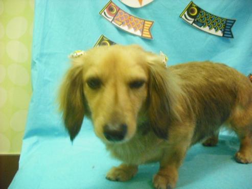 ファイル 3764-1.jpg