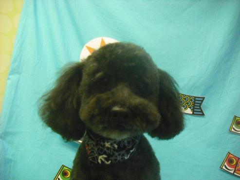 ファイル 3768-1.jpg